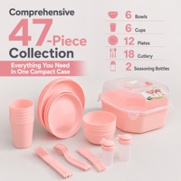 Ensemble de vaisselle de camping en plastique portable, kit de vaisselle de pique-nique d'extérieur avec boîte de rangement, assiette, bol, tasse, couverts réutilisables