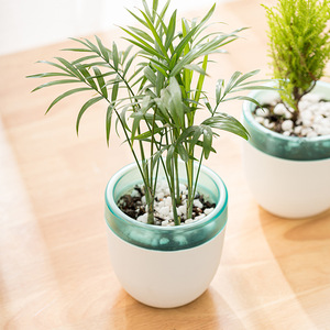 Maceta Moderna de Plástico con Absorción de Agua para Plantas de Interior, Diseño Circular, Color Blanco Oscuro - Product Image 2