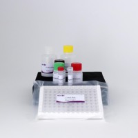 Kit ELISA PEDV pour la détection des anticorps du virus de la diarrhée épidémique porcine (PEDV) chez les porcs