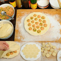 Besafe 19 trous plastique boulettes de viande pâte à pâtisserie moule mini russe ukraine cuisine pelmeni ravioli cutter par forme