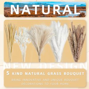 Bouquet de fleurs séchées mixtes transfrontalières fait main pour la décoration intérieure, avec herbe de la pampa, roseau et queue de lapin, pour la décoration et l'entretien des tissus. - Product Image 2