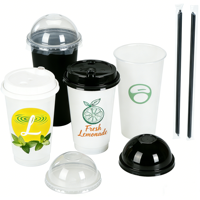 Gobelets givrés incassables de 600 ml pour invités de mariage, gobelets en plastique rigide personnalisés pour toast, souvenirs de fête de fiançailles, jetables