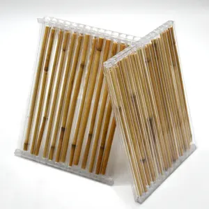 Içi boş polikarbonat levha bambu Gazebo PE Film şeffaf özelleştirilmiş uzunluğu ve genişliği için takılı