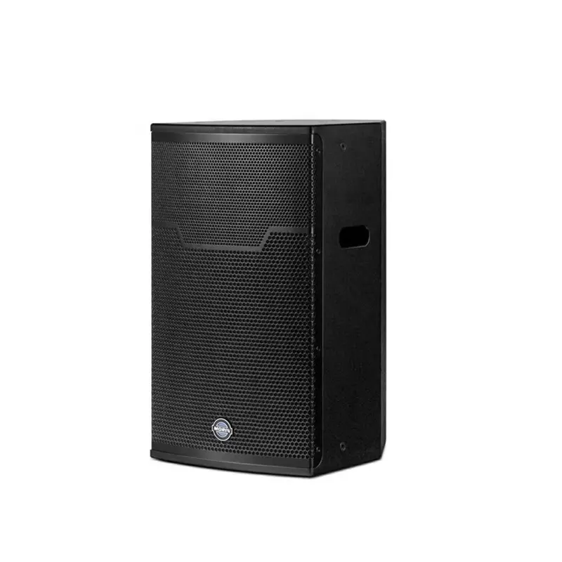 2025 Hot Sale 800W High Power 12 Inch Woofer Draadloze Karaoke Fashion Sound Speakers Stereo Surround 12 Subwoofer Speaker