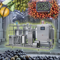 Fabriek Directe Commerciële Kleine Productielijn Voor Vruchtensap Sinaasappel Productielijn