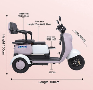 <b>Adult</b> passenger electric tricycle Three wheel scooter with storage Rear seat cargo tricycle Open body electric <b>trike</b> - Product Image 4