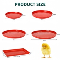 Mangeoire Rouge pour Poussins, Canards et Cailles – Bac d'Alimentation en Plastique pour Équipement d'Élevage