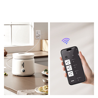 Bandes de prises pour maison intelligente Wifi Matter Tuya Socket Switch Extension Socket Electric Outlet Extender Power Adapters