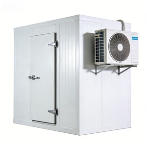 Chambre froide <span class=keywords><strong>de</strong></span> petite taille à <span class=keywords><strong>prix</strong></span> abordable pour la viande et les fruits <span class=keywords><strong>de</strong></span> mer - Product Image 3