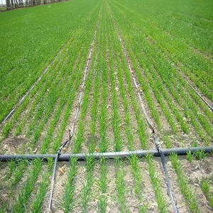 <span class=keywords><strong>Kit</strong></span> d'irrigation <span class=keywords><strong>goutte</strong></span> <span class=keywords><strong>à</strong></span> <span class=keywords><strong>goutte</strong></span> pour la maison système d'irrigation <span class=keywords><strong>goutte</strong></span> <span class=keywords><strong>à</strong></span> <span class=keywords><strong>goutte</strong></span> pour la riziculture <span class=keywords><strong>kit</strong></span> d'irrigation <span class=keywords><strong>goutte</strong></span> <span class=keywords><strong>à</strong></span> <span class=keywords><strong>goutte</strong></span> pour 1 hectare - Product Image 1