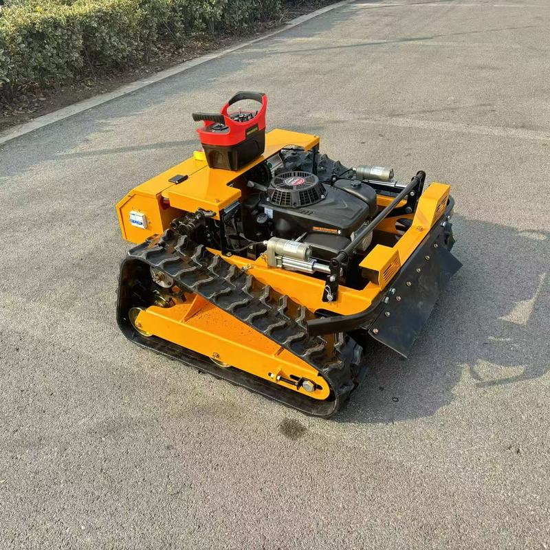 Domestic Lawn Mower Remote Control Lawn