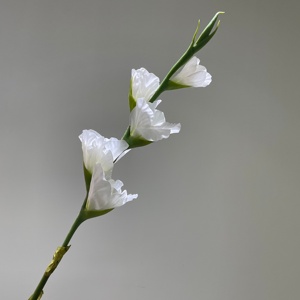 <span class=keywords><strong>Flores</strong></span> Artificiales de Gladiolo Blanco de Alta Calidad, <span class=keywords><strong>Flores</strong></span> de Gladiolo de Látex con Tacto Real para Decoración Floral de Mesa en Hogar, Fiestas y Bodas - Product Image 1