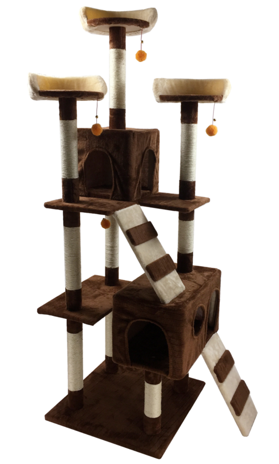 สีน้ำตาล