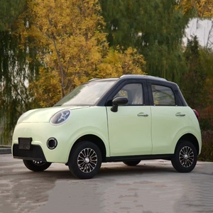 Mini Auto Eléctrico de Cuatro Ruedas, 2 Puertas, 4 Asientos, Motor de 3500W, Autonomía de 130-300km, FSL L100 - Product Image 4