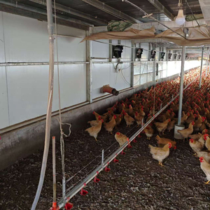 10000 Gia Cầm Gà Nhà Trung Chuyển Máy Trang Trại Chăn Nuôi Thiết Bị Gà Tự Động Gà Thịt Ăn Pan Dòng Hệ Thống 5000 - Product Image 4