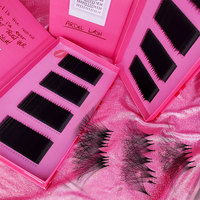 Extensions de cils individuelles en cachemire noir mat, courbure C CC D DD, 0.05 0.07, volume premium, douces