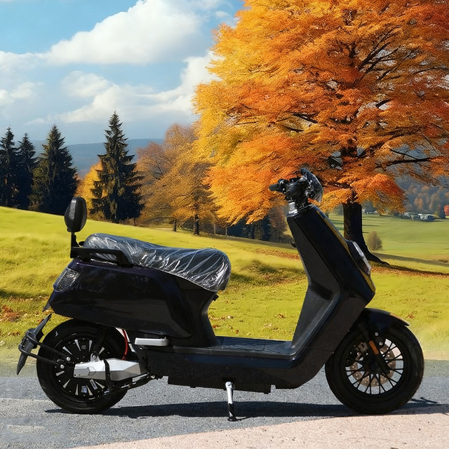 Hot Selling Electric Motorcycle Long-Life Women's Two Wheeled Electric Motorcycle