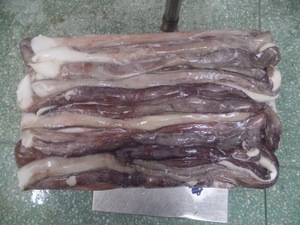 X256 mực xúc tu nhà sản xuất dosidicus gigas đông lạnh khổng lồ mực dài tình dục xúc tu 80 + cm - Product Image 2