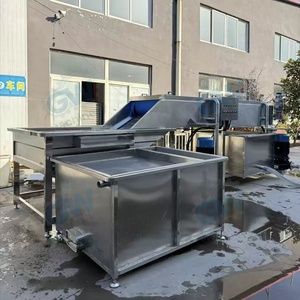 Nouvelle Machine Commerciale Multifonctionnelle 2026 GW pour le Lavage des Fruits, des Citrouilles, des Dattes et des Légumes avec Ozone - Product Image 4