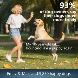 สายเคี้ยวนุ่มสำหรับสะโพกและข้อต่อของสุนัขพร้อมวิตามินอี D3สังกะสีและแคลเซียม-การดูดซึมอย่างรวดเร็วสำหรับสุขภาพผิวและขน - Product Image 4