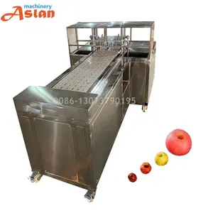 Jujube Samen entfernen Maschine Palm Dates Desto ner Maschine Voll automatische Früchte Weißdorn Lochfraß Maschine