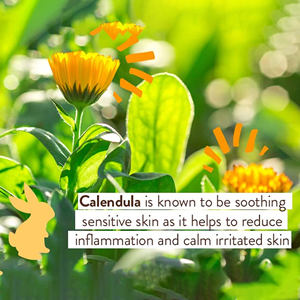 <span class=keywords><strong>Crema</strong></span> Idratante <span class=keywords><strong>Lenitiva</strong></span> Sbiancante Anti-Età Schiarente per la Pelle con <span class=keywords><strong>Calendula</strong></span> e Avena a Marchio Privato - Product Image 3