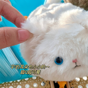 Jelly Catt <strong>Kitten</strong> Caboodle Family Children's Plush Toys And Soothing Dolls - Product Image 4