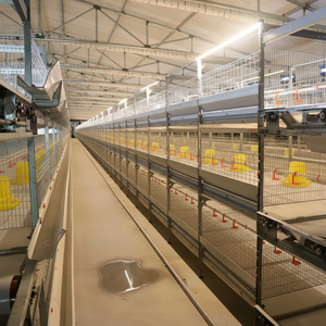 Nouvelle cage à poulets de chair de type H avec bacs à nourriture et design patio, facile à utiliser, garantie 5 ans - Product Image 1