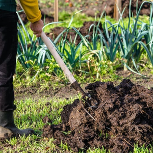 Fermented Cow Dung Organic Fertilizer with Humic Acid Improve <strong>Soil</strong> <strong>Structure</strong> Loose Hardened <strong>Soil</strong> for Farmland Agriculture Crops - Product Image 1
