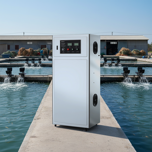 Máquina de Ozono Industrial 30G Generador de Ozono para Acuicultura de Estanques Máquina Generadora de Ozono para Cultivo de Camarones y Peces - Product Image 2