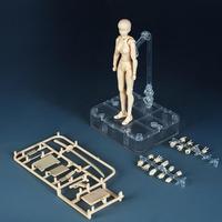 Modello di Corpo Articolato per Action Figure Maschile e Femminile, Tonalità di Pelle Multicolore, Riferimento per Disegno, Articolazioni Mobili