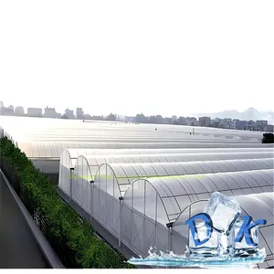 Oval tube plastic film greenhouse vegetable greenhouse full set material installation film greenhouse experts
