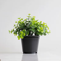 Simulation de bonsaï de bureau plante verte d'intérieur petit bonsaï décor maison accessoires plantes OEM /ODM cadeau petit bonsaï