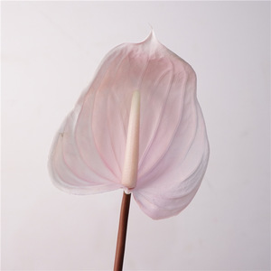 <span class=keywords><strong>Fleur</strong></span> artificielle de style européen, aspect naturel, <span class=keywords><strong>Arum</strong></span> rouge, Crinière de cheval, pour aménagement de salle, photographie et mariage - Product Image 4