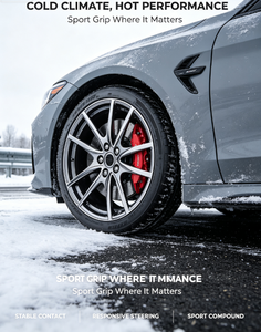 Pneu semi-<span class=keywords><strong>slick</strong></span> TEMPESTA ENZO <span class=keywords><strong>195</strong></span>/<span class=keywords><strong>50R15</strong></span> 82V TL Performance Racing pour utilisation sur route et sur circuit - Product Image 2