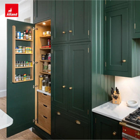 Armoire de cuisine en forme de U verte conçue par Alland Supplier, sous la hotte, pour petite cuisine, avec accessoires