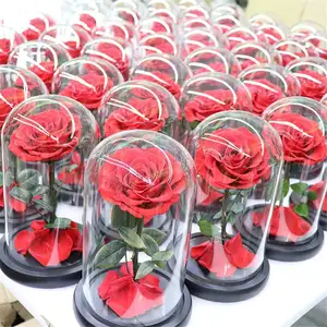 UO 2024厂家批发情人节母亲节礼物12*20厘米LED玫瑰玻璃圆顶散装保鲜花玫瑰