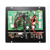 Placa Amplificadora de Bajos Puros de Alta Potencia de 600 W y 12 V para Automóvil, Placa Central Profesional para Subwoofer de Automóvil para Sistema de Audio