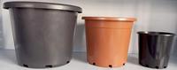 Pot Galon Plastik 0.5 Galon Pot Bunga
