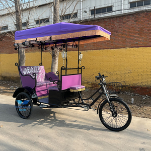 OEM Customized Electric <b>Pedicab</b> Rickshaw Three Wheels Cargo Trike Adult Passenger Tricycle - Product Image 5