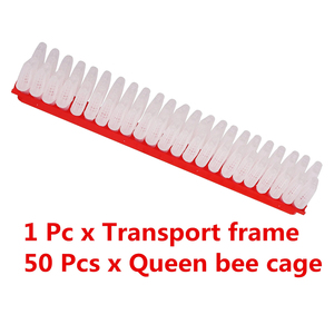 Gabbie per l'allevamento di api regine a striscia, con barra rossa e trasparenti, strumento per il trasporto di api regine - Product Image 3