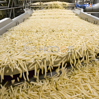 Industriële lijn voor het verwerken van aardappelreepjes voor grote bedrijven die diepvriesfrieten produceren