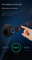 Groothandel fabrieks prijs Tuya Smart Handle Lock vingerafdruk hendel Cloud ondersteuning voor houten/aluminium/stalen/messing deuren voor export