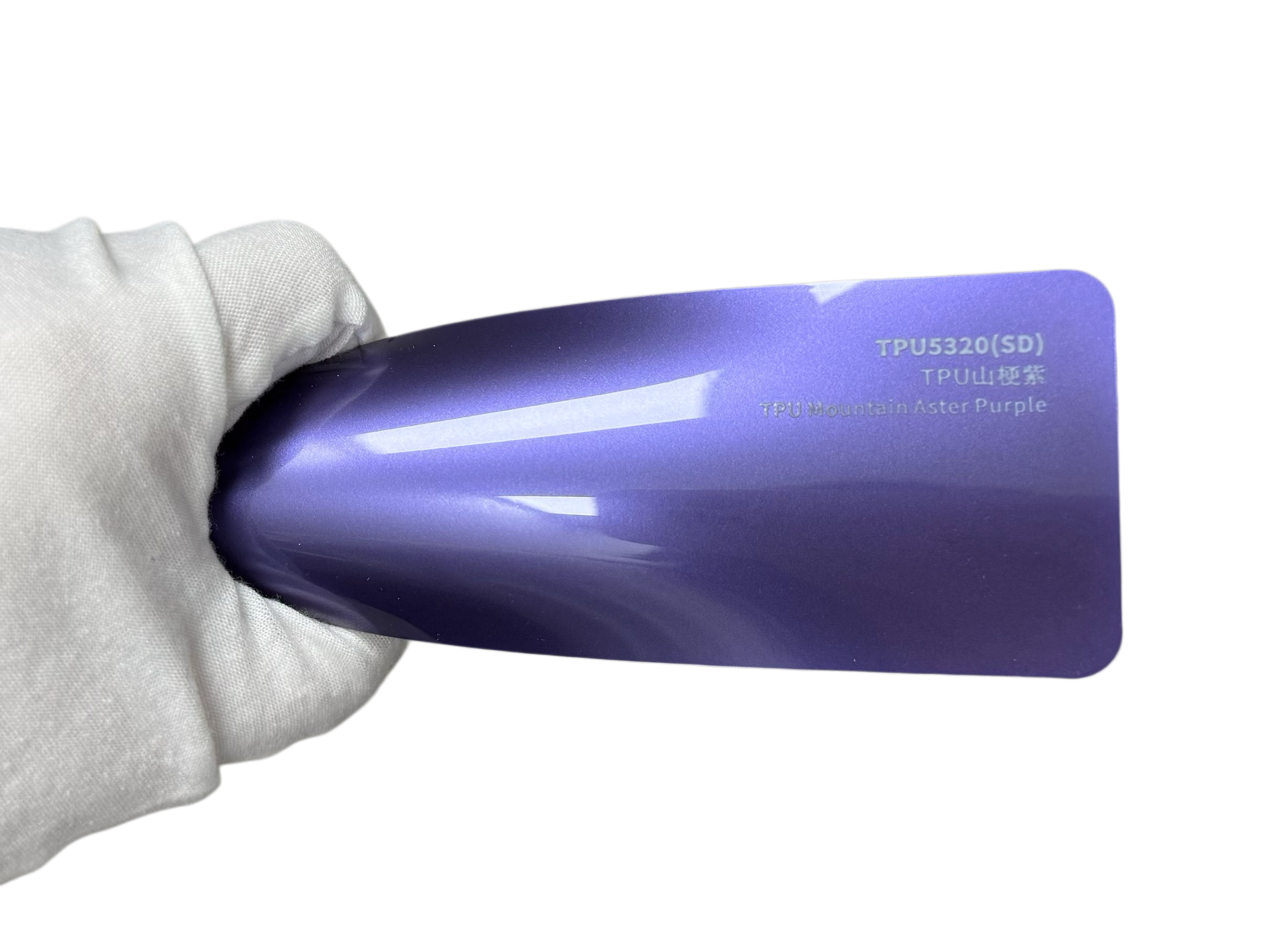 TPU Aster de montagne violet