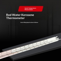 Thermomètres à eau en gros certifiés à l'alcool, avec liquide rouge et tige en verre, pour impression, cuisson et peinture, fonctionnalités 0-100