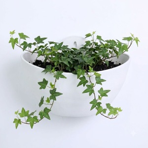 Maceta Colgante de Pared de Plástico PP, Maceta Blanca Texturizada para Montar en la Pared con Orificio para Colgar, Maceta Ovalada para Balcón - Product Image 1