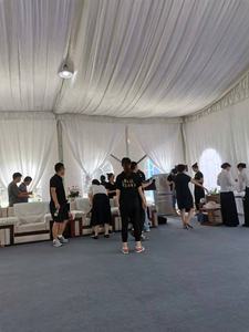 4x21m 6x21m carpas elásticas para eventos de lujo otras decoraciones de boda ceremonia lonas almacén carpa PVC circo marquesina - Product Image 4