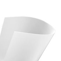 Prix d'usine, plaque en plastique PP translucide givrée personnalisée, plaque en polypropylène mate pour l'impression et la couverture de carnet