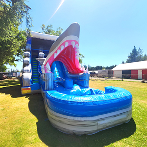 Toboggan aquatique gonflable géant commercial, toboggan aquatique gonflable en PVC, toboggans aquatiques gonflables à deux voies pour les jeux aquatiques d'été - Product Image 1