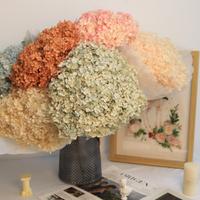 Fournitures de fleurs séchées : Tête d'hortensia véritable stabilisée, grand feuillage, couleur violette, pour la décoration intérieure